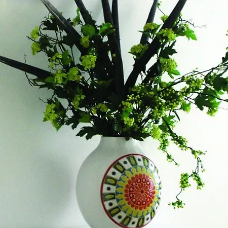 Hotel Geohotel Escola Monsanto